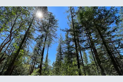 5225 Sterling Creek Road, Jacksonville, OR 97530 - Photo 135