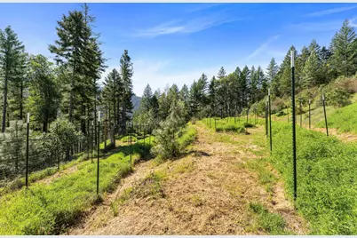 17939 E Evans Creek Road, Rogue River, OR 97537 - Photo 27