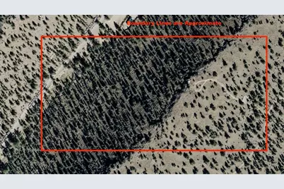 69740 McKenzie Canyon Road, Sisters, OR 97759 - Photo 3