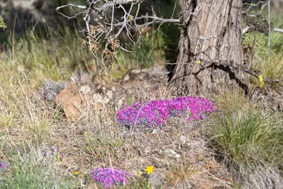69740 McKenzie Canyon Road, Sisters, OR 97759 - Photo 41