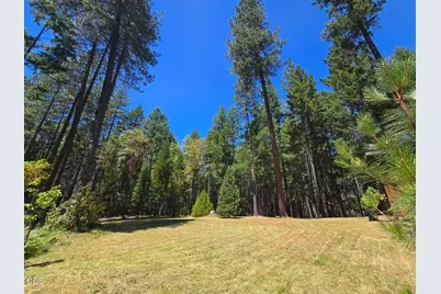707 McMullen Creek Road, Selma, OR 97538 - Photo 37
