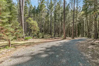 707 McMullen Creek Road, Selma, OR 97538 - Photo 43