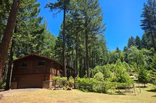 707 McMullen Creek Rd, Selma, OR 97538 - Photo 3