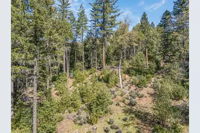 707 McMullen Creek Road, Selma, OR 97538 - Photo 49