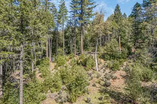 707 McMullen Creek Rd, Selma, OR 97538 - Photo 49