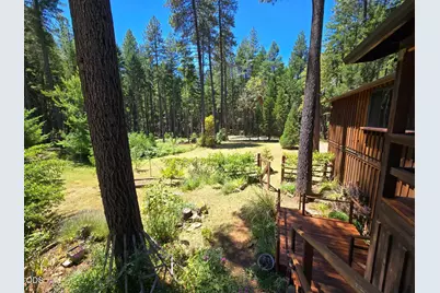 707 McMullen Creek Road, Selma, OR 97538 - Photo 41