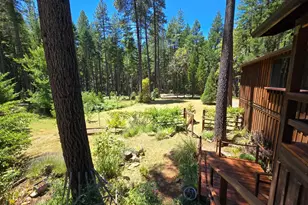 707 McMullen Creek Rd, Selma, OR 97538 - Photo 41