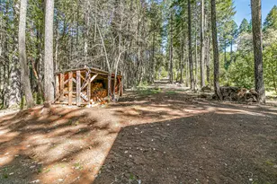 707 McMullen Creek Rd, Selma, OR 97538 - Photo 39