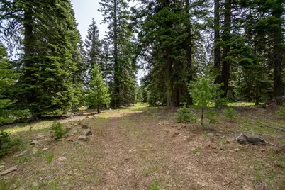 7700 Hyatt Prairie Road, Ashland, OR 97520 - Photo 9