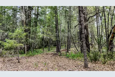 323 Valley Heights Road, Selma, OR 97538 - Photo 9