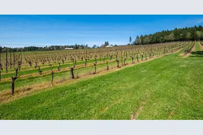 25357 High Pass Road, Junction City, OR 97448 - Photo 41