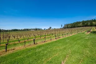 25357 High Pass Rd, Junction City, OR 97448 - Photo 41