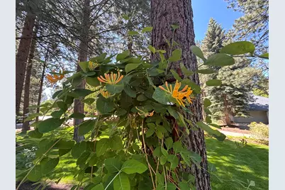 60730 Breckenridge Street, Bend, OR 97702 - Photo 3