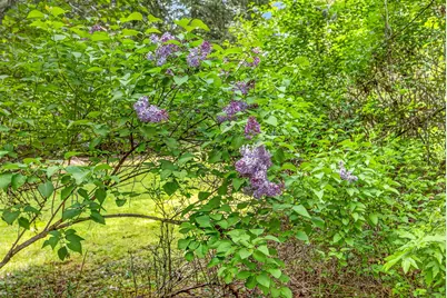 9105 W Evans Creek Road, Rogue River, OR 97537 - Photo 33