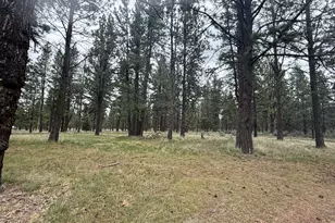 21717 Moccasin Ln, Chiloquin, OR 97624 - Photo 61