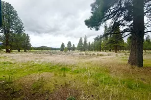 21717 Moccasin Ln, Chiloquin, OR 97624 - Photo 53