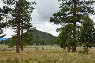 21717 Moccasin Ln, Chiloquin, OR 97624 - Photo 57