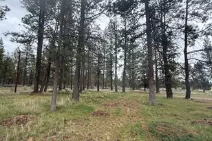 21717 Moccasin Ln, Chiloquin, OR 97624 - Photo 49