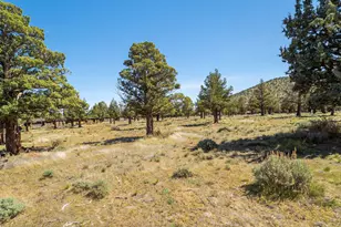 11164 Desert Sky Loop, Redmond, OR 97756 - Photo 11