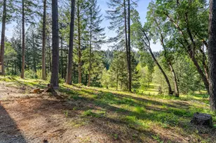 1201 Reeves Creek Rd, Selma, OR 97538 - Photo 33