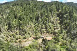 331 Newt Gulch Rd, Wilderville, OR 97543 - Photo 33