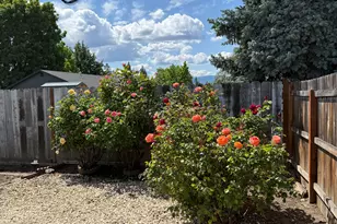 3015 Milhoan Dr, Medford, OR 97504 - Photo 19