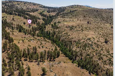 0 N U.S. 395, Mount Vernon, OR 97865 - Photo 27
