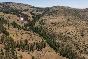0 N U S 395, Mount Vernon, OR 97865 - Photo 27