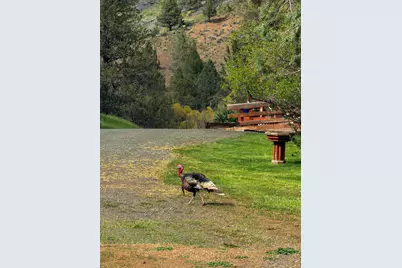 20480 Hwy 395 N, Mount Vernon, OR 97865 - Photo 45