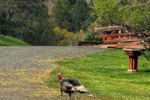 20480 Hwy 395 N, Mount Vernon, OR 97865 - Photo 45
