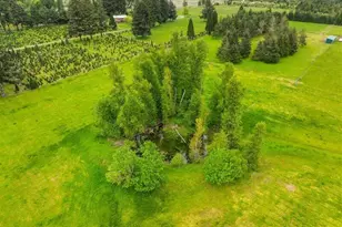 84115 N Enterprise Rd, Pleasant Hill, OR 97455 - Photo 87