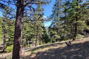 600 NE Lofton Creek Rd, Prineville, OR 97754 - Photo 59