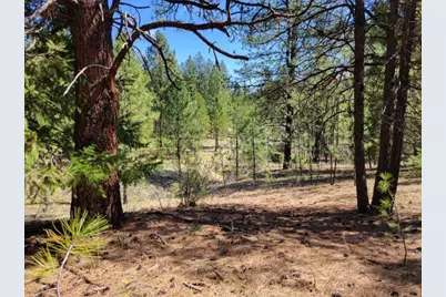 600 NE Lofton Creek Road, Prineville, OR 97754 - Photo 57