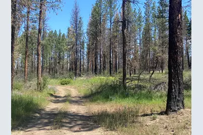 0 Oregon 62, Chiloquin, OR 97624 - Photo 37