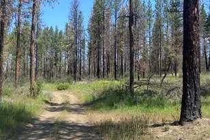 0 Oregon 62, Chiloquin, OR 97624 - Photo 37