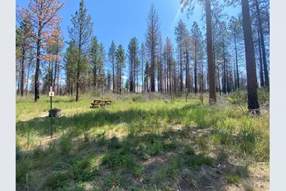 0 Oregon 62, Chiloquin, OR 97624 - Photo 39