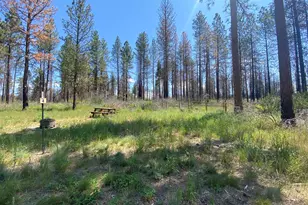 0 Oregon 62, Chiloquin, OR 97624 - Photo 39