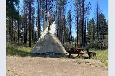 0 Oregon 62, Chiloquin, OR 97624 - Photo 13