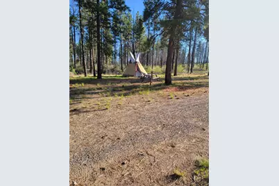 0 Oregon 62, Chiloquin, OR 97624 - Photo 17