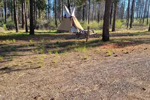0 Oregon 62, Chiloquin, OR 97624 - Photo 17
