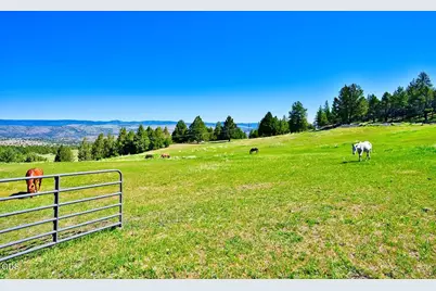 26608 Adam Road, Canyon City, OR 97820 - Photo 7