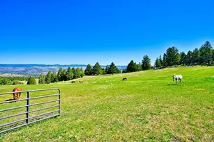26608 Adam Rd, Canyon City, OR 97820 - Photo 7