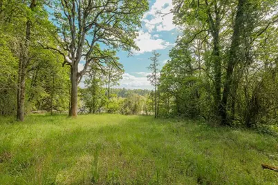0 Kouns Drive Drive NW, Albany, OR 97321 - Photo 3