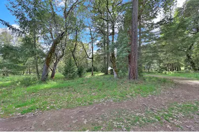 544 Lou Gray Drive, Myrtle Creek, OR 97457 - Photo 39
