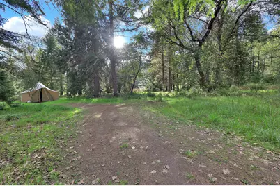 544 Lou Gray Drive, Myrtle Creek, OR 97457 - Photo 41