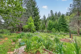 181 Brimstone Rd, Wolf Creek, OR 97497 - Photo 9