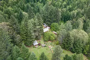 181 Brimstone Rd, Wolf Creek, OR 97497 - Photo 67