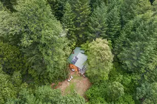 181 Brimstone Rd, Wolf Creek, OR 97497 - Photo 71