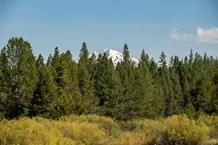 54641 Silver Fox Dr, Bend, OR 97707 - Photo 47