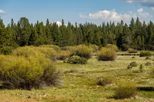 54641 Silver Fox Dr, Bend, OR 97707 - Photo 11